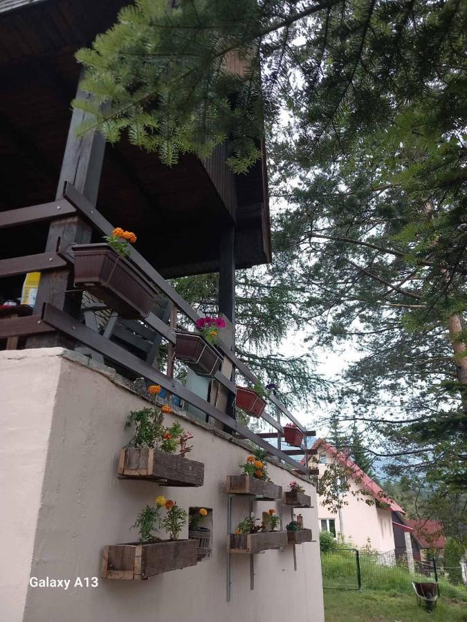 Vikendica Malovic Villa Žabljak Eksteriør bilde